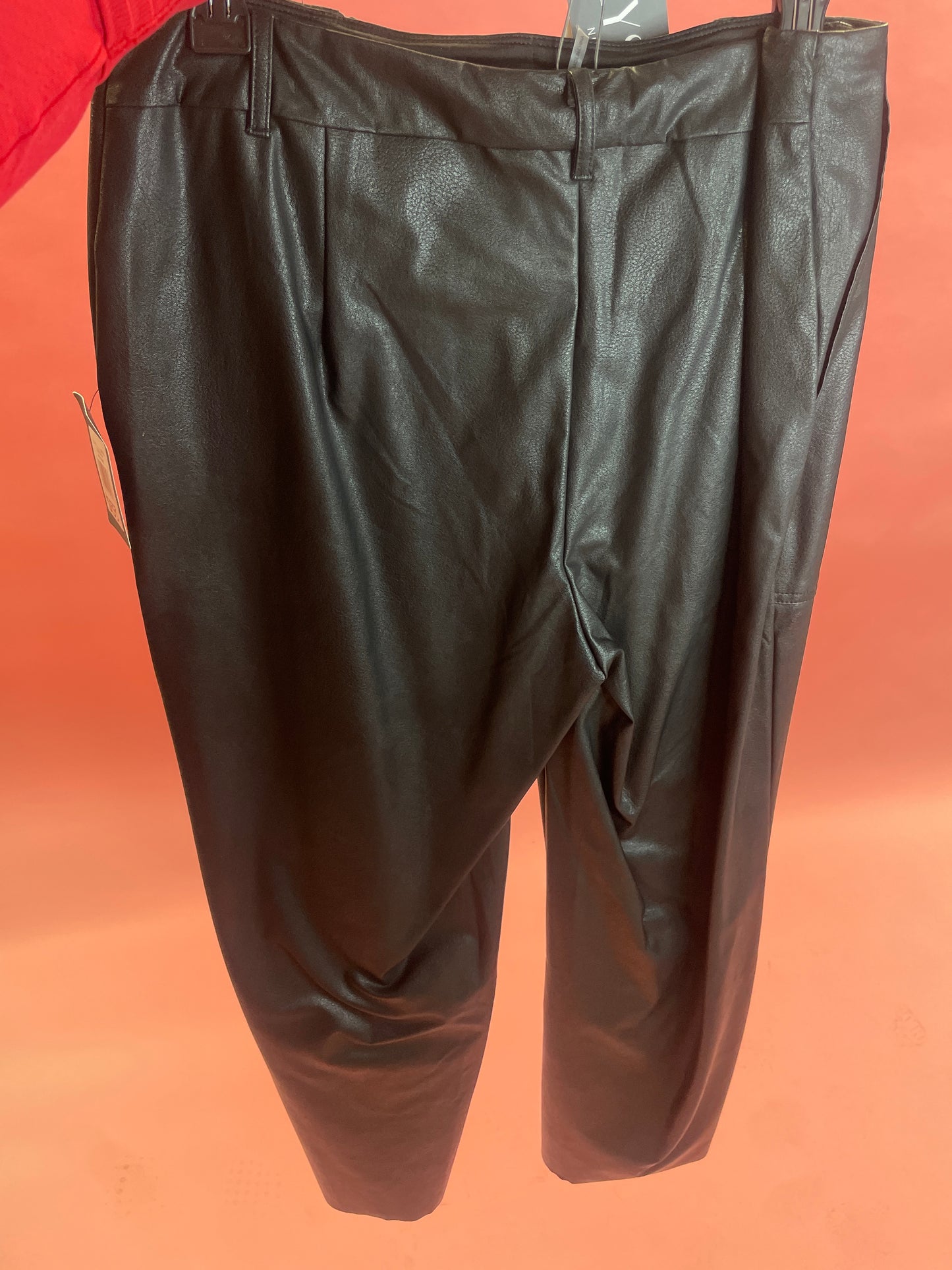 VEVA FAUX LEATHER PANT