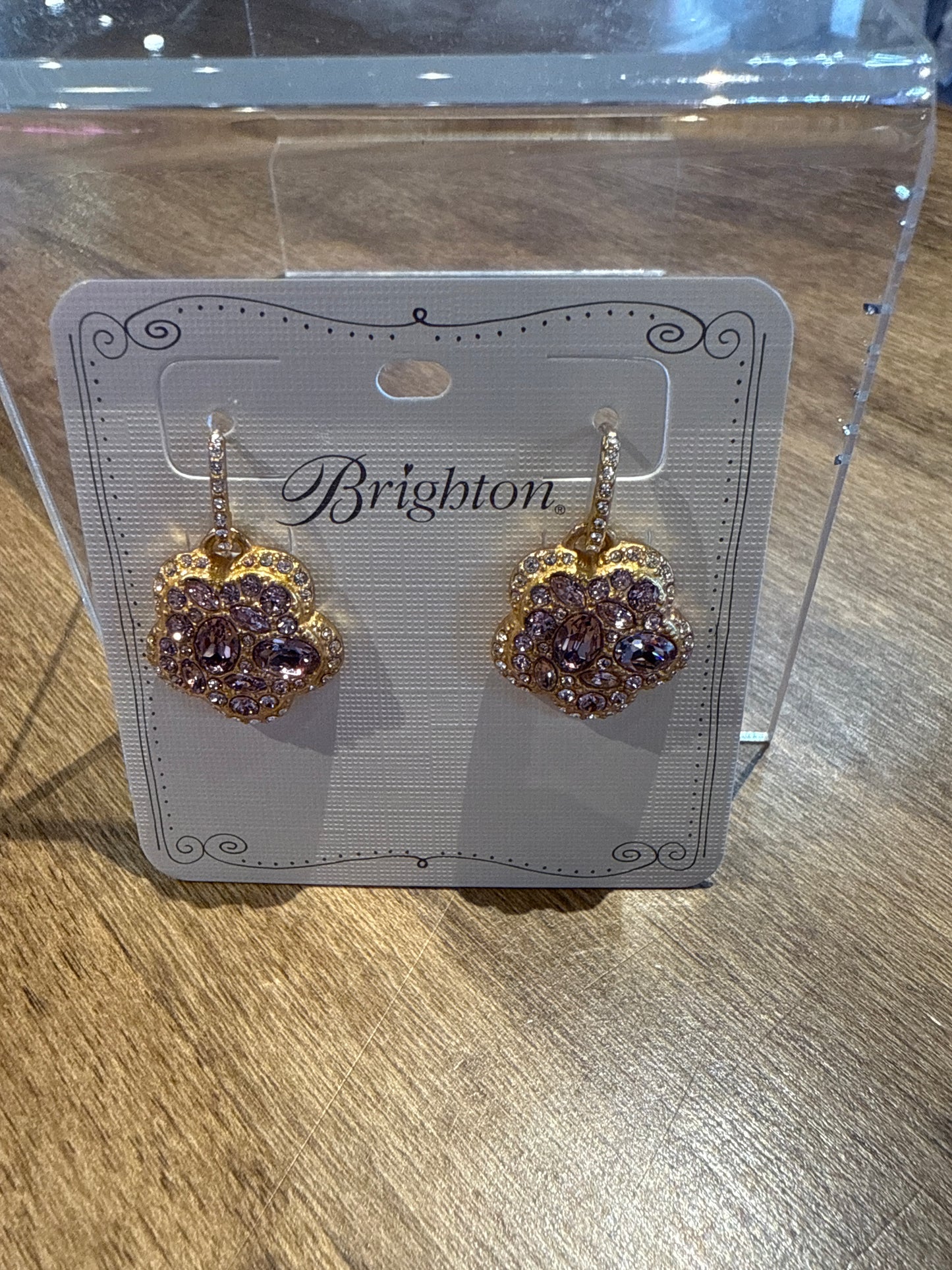 TRUST YOUR JOURNEY EARRINGS