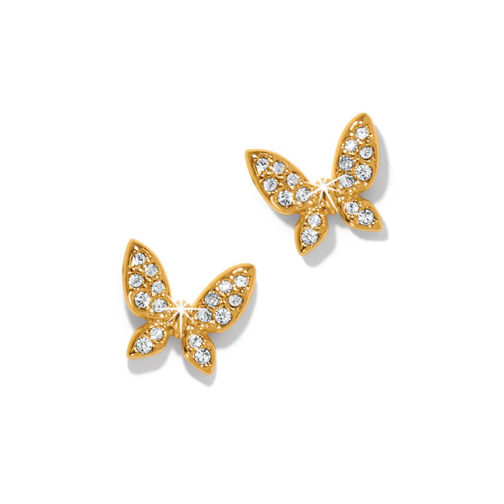 Enchanting Butterfly Gld Earring
