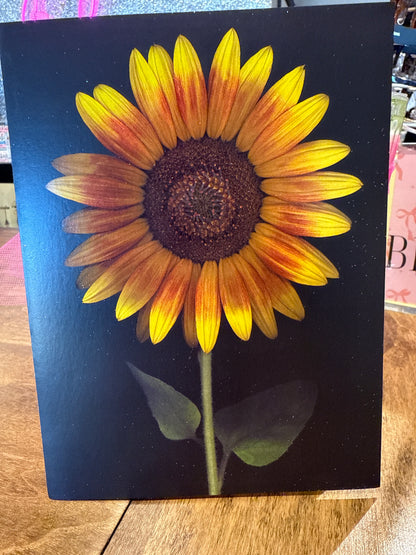 Birthday Cards