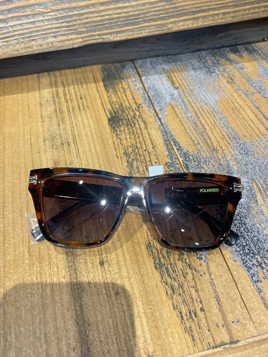 Sunglasses Jordan Brown Tortoise