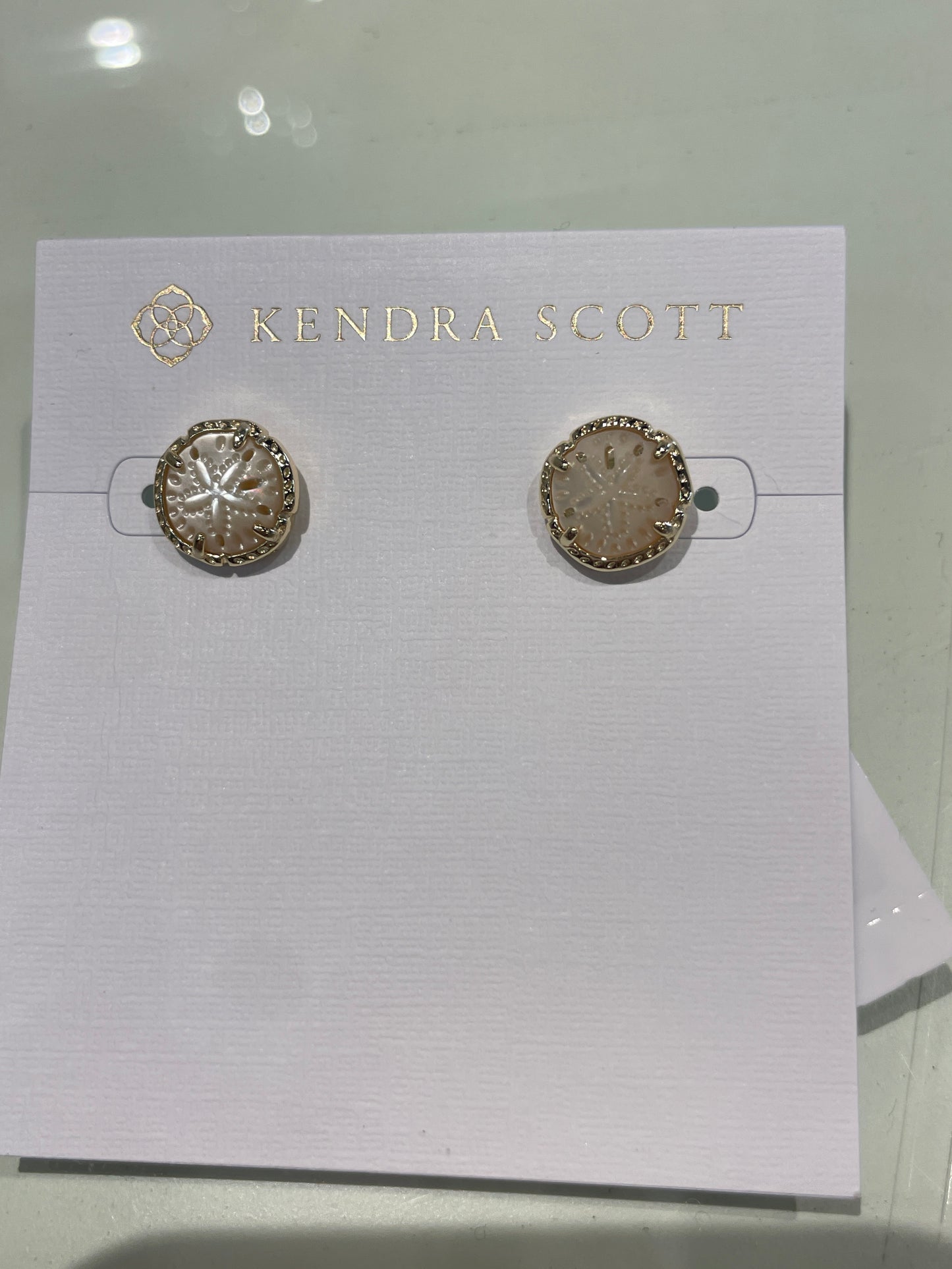 Sand dollar stud earring