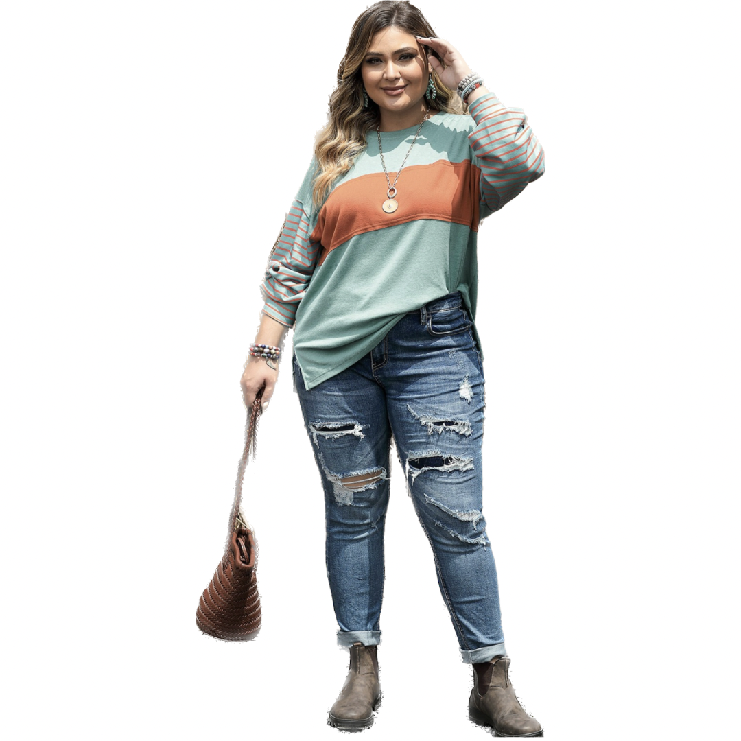 Striped Long Sleeve Colorblock Plus Size Tops