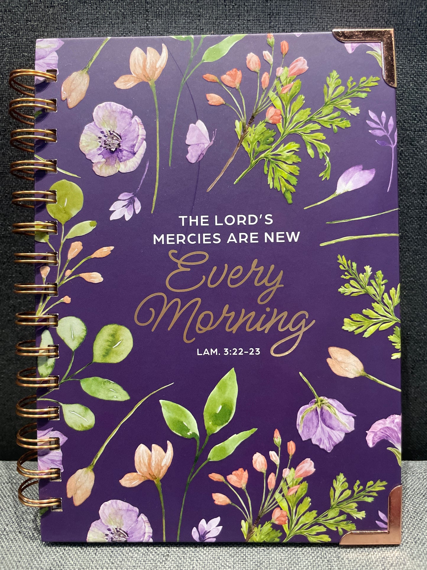 the lords mercies are new journal
