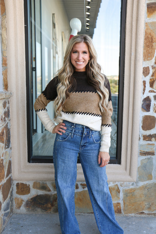 Shades of brown mock neck sweater