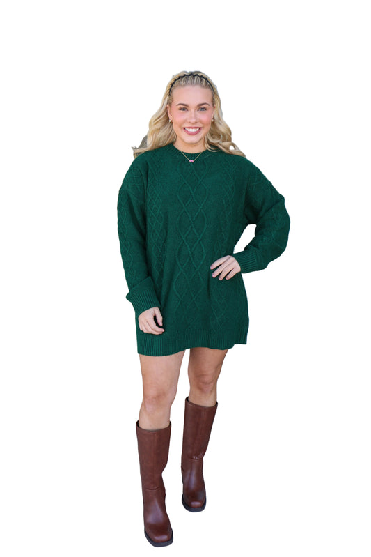Show Me Your MuMu Canyon Tunic sweater dress