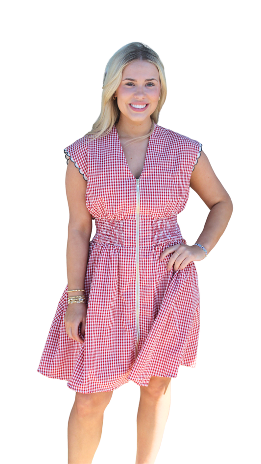 Short Sleeve Gingham Dress