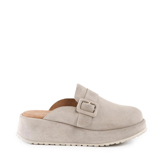 COME TOGETHER II SUEDE SHOES
