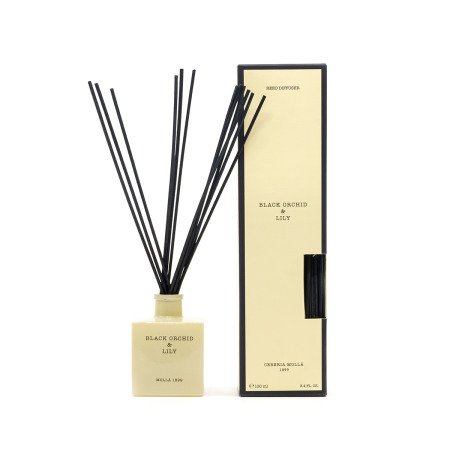 REED DIFFUSER