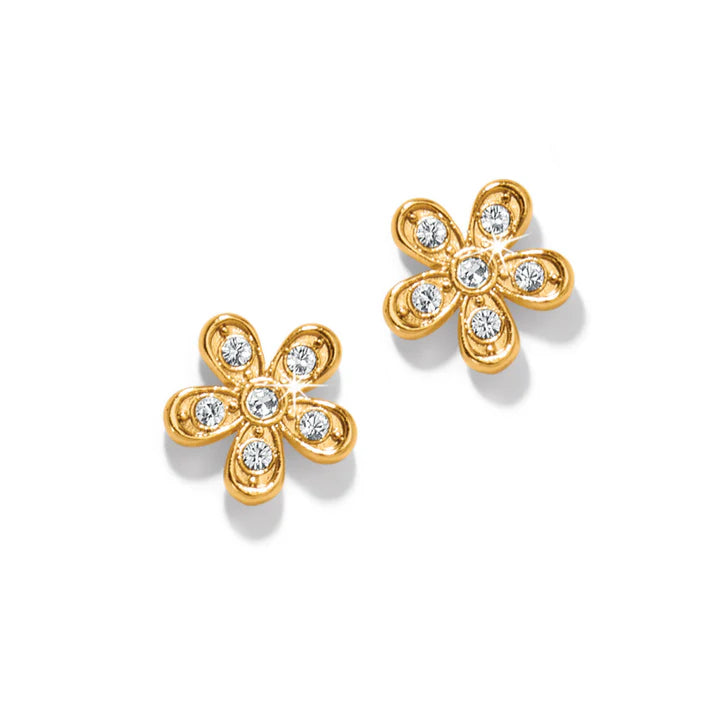 Enchanting Flower Earrings