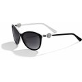 FERRARA BLK/WHT SUNGLASS