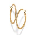 Meridian eclipse hoops