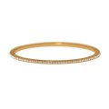 Meridian eclipse bangle