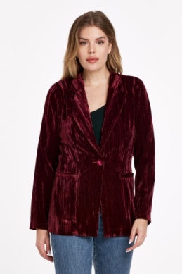 Wylie Velvet Blazer